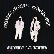 آهنگ Contra La Pared  از شان پال و جی بالوین
